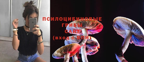 винт Нефтегорск