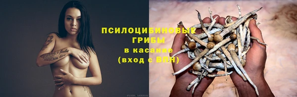 винт Нефтегорск